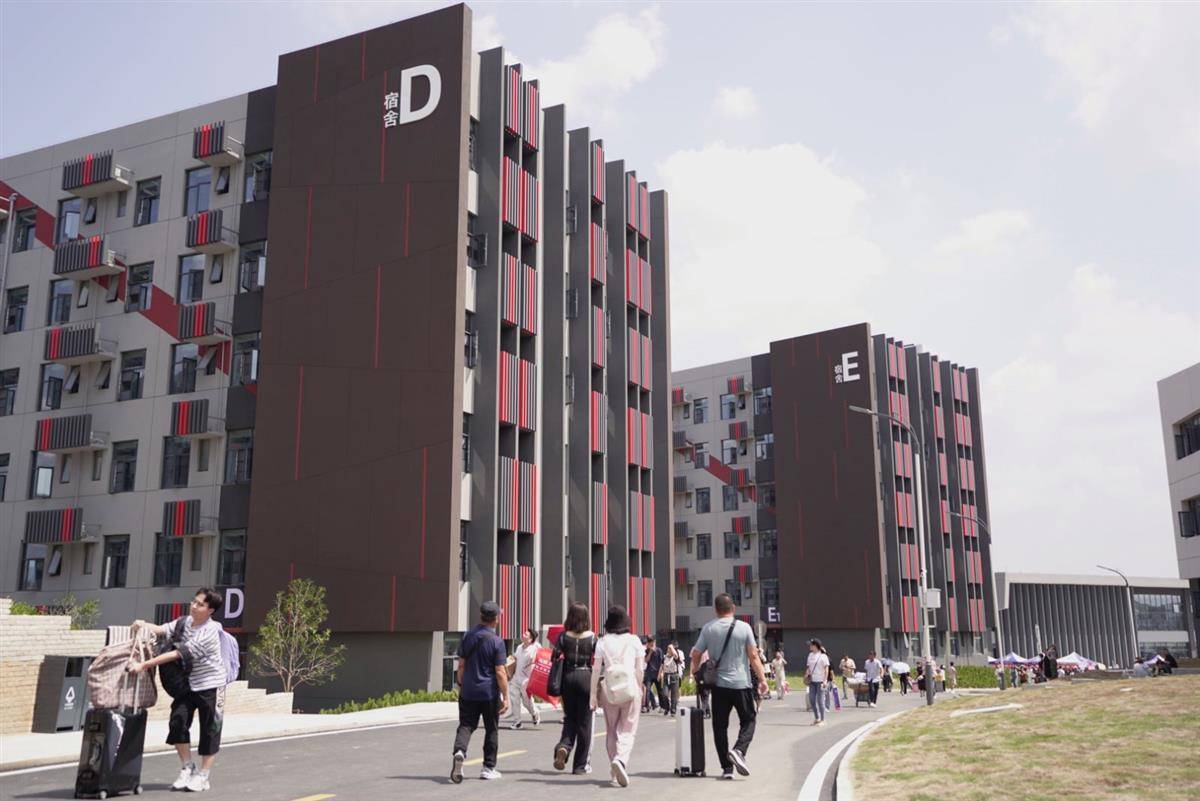 摸摸鱼游戏下载